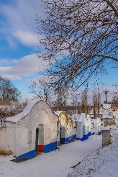 Група Типових Винних Погребів Відкритому Повітрі Пльце Поблизу Петрова Південна — стокове фото