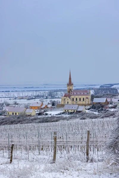 チェコ共和国南モラヴィア ズノイモ地方のブドウ畑のあるコニス教会 — ストック写真