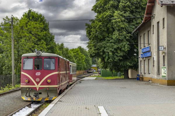 Vía Estrecha Ferrocarril Tremesna Slezsku Osoblaha Con Años Edad Locomotora — Foto de Stock