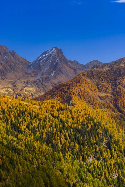 Texelgruppe Nature Park Parco Naturale Gruppo Tessa Timmelsjoch High Alpine — 图库照片