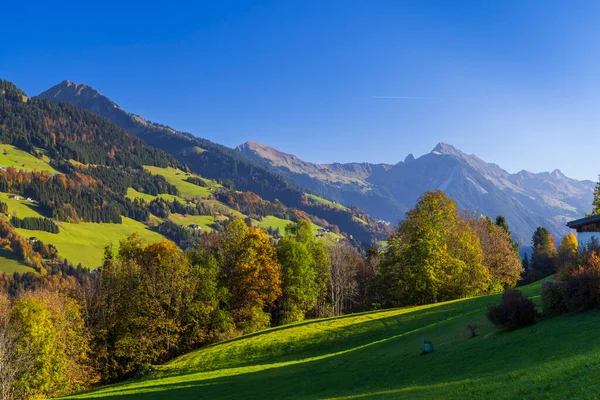 オーストリア ヴォーアルベルクのブレゲンツ地区 ブレゲンツ区サンクト ゲロルドとブルーデンツの近くの典型的な風景 — ストック写真