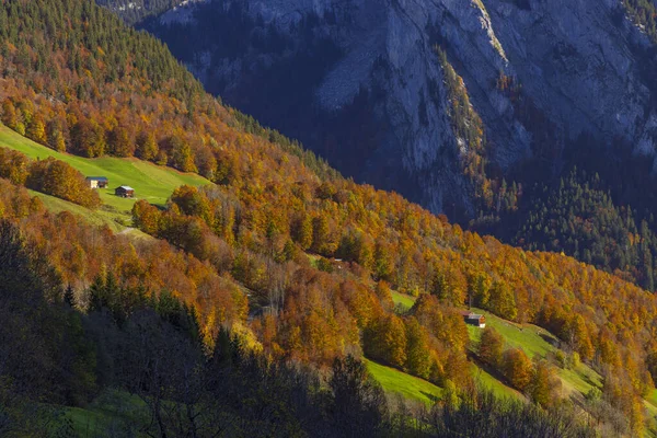 Typische Landschaft Bei Amls Bregenzer Wald Bezirk Bregenz Vorarlberg Österreich — Stockfoto
