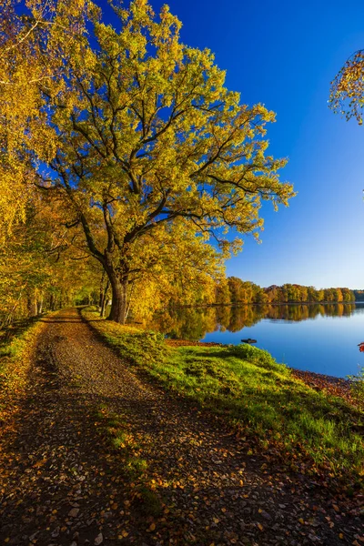 Typowy Jesienny Krajobraz Regionie Trebonsko Czechach Południowych Czechy — Zdjęcie stockowe