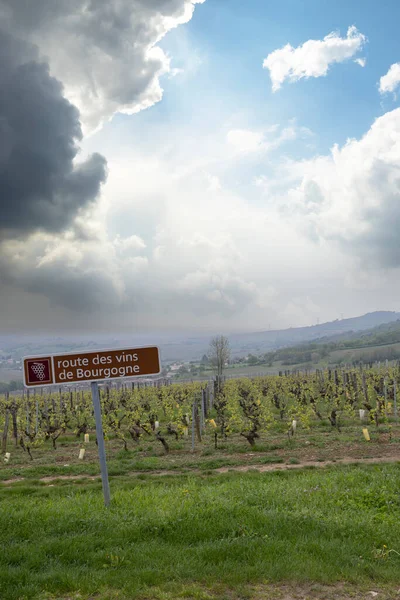 Wine Road Saint Veran Macon Burgundy France — Stock Photo, Image