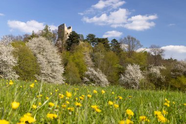 Valecov Kalesi Harabeleri, Orta Bohemya, Çek Cumhuriyeti
