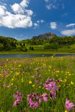 Kalbelesee yakınlarındaki manzara, Hochtann Dağı Geçidi, Warth, Vorarlberg, Avusturya