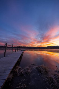 Doğa rezervi Olsina, Sumava Ulusal Parkı, Çek Cumhuriyeti