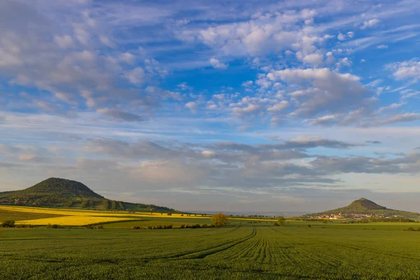 Typical Landscape Ranna Ceske Stredohori Northern Bohemia Czech Republic — Stock Photo, Image