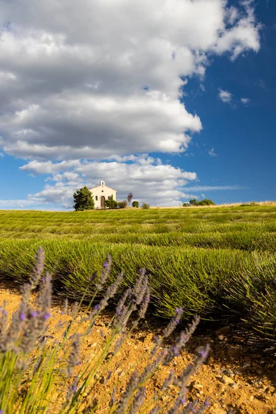 Chapel Plateau Valensole Provence France — Stok fotoğraf