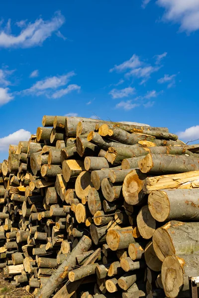 Wooden Logs Open Air — Fotografia de Stock