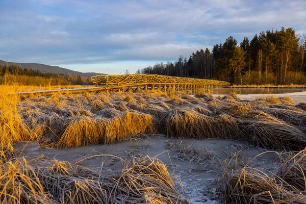 Nature Reserve Olsina Sumava National Park Czech Republic — Stock Photo, Image