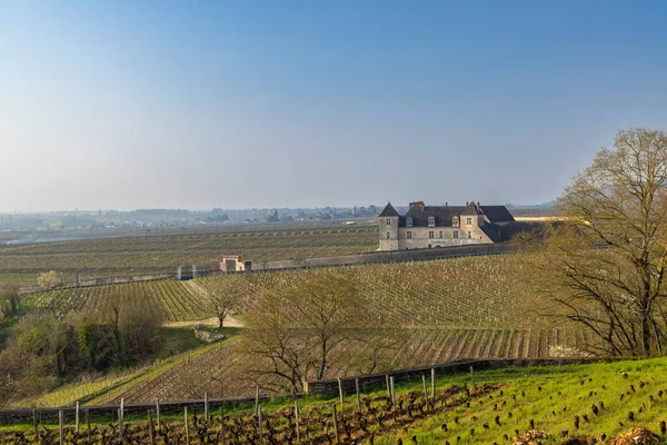 Zamek Clos Vougeot Cote Nuits Burgundia Francja — Zdjęcie stockowe