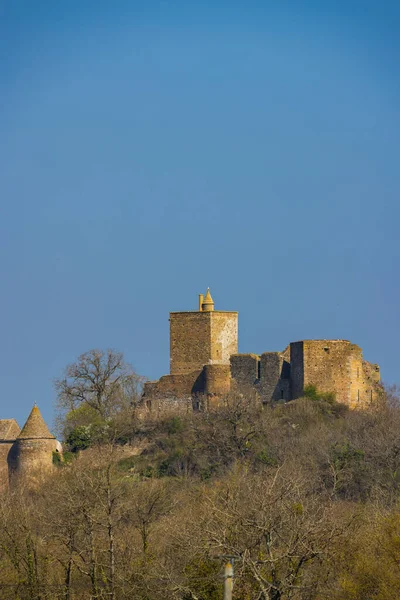 Brancion Castle Chateau Brancion Martailly Les Brancion Burgundy France — Stock Photo, Image