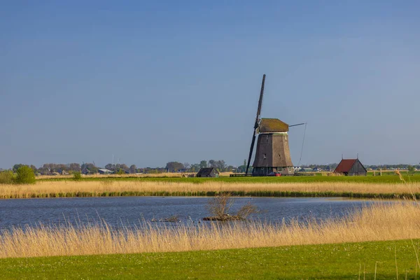 Alte Windmühle Bei Alkmaar Niederlande — Stockfoto