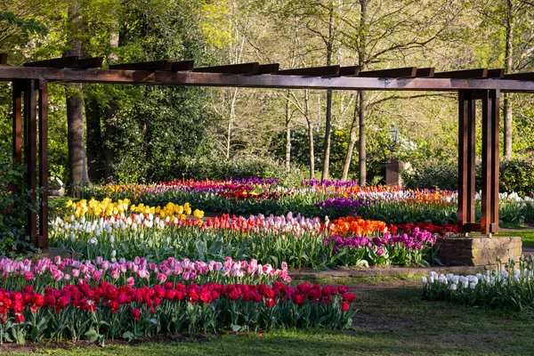 Keukenhof Flower Garden Μεγαλύτερο Πάρκο Τουλίπας Στον Κόσμο Lisse Ολλανδία — Φωτογραφία Αρχείου