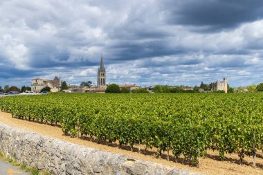 Saint-Emilion kasabası, Aquitaine, Gironde, Fransa 'daki üzüm bağları