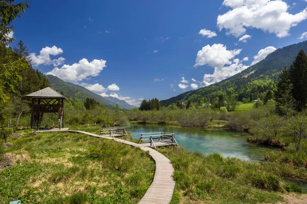 Spring Landscape Zelenci Slovenia — ストック写真