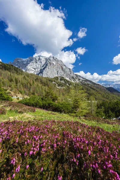 Paisaje Cerca Vrsic Parque Nacional Triglavski Eslovenia —  Fotos de Stock