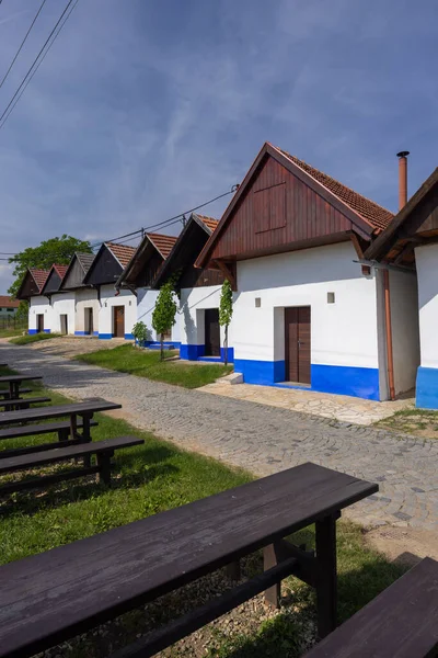 Traditional Wine Cellars Blatnice Pod Svatym Antoninkem Slovacko Southern Moravia — Stockfoto