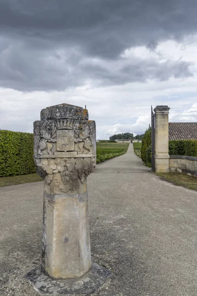 Chateau Yquem Sauternes Bordeaux Akwitania Francja — Zdjęcie stockowe