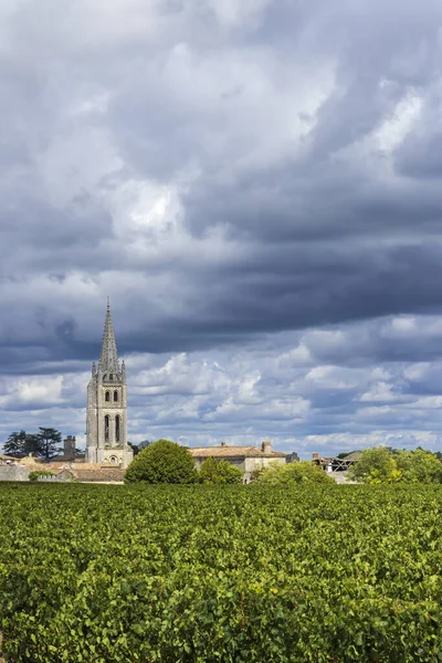 Wijngaarden Met Saint Emilion Stad Aquitaine Gironde Frankrijk — Stockfoto