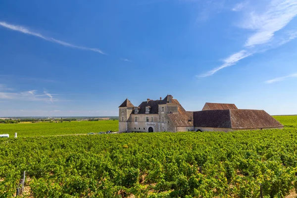 Tipikus Szőlőültetvények Közelében Clos Vougeot Cote Nuits Burgundia Franciaország — Stock Fotó
