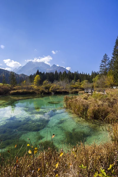 Autumnal Landscape Zelenci Slovenia — Stockfoto