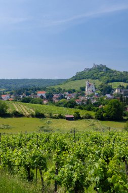 Falkenstein harabeleri ve üzüm bağı olan kasaba, Aşağı Avusturya, Avusturya