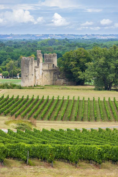 Sauternes Şarap Bölgesinde Budos Şatosu Chateau Budos Gironde Ayrılışı Aquitaine — Stok fotoğraf