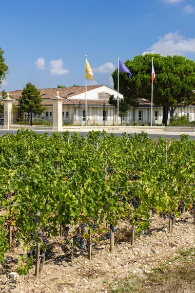 Typische Weinberge Der Nähe Von Chateau Dauzac Margaux Medoc Bordeaux — Stockfoto