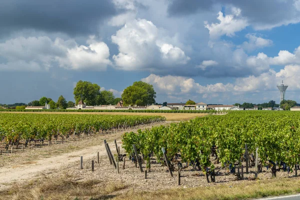 Vineyards Margaux Chateau Margaux Bordeaux Aquitaine France — Stock Photo, Image