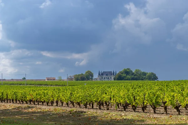 Vinodlingar Nära Margaux Chateau Margaux Bordeaux Aquitaine Frankrike — Stockfoto
