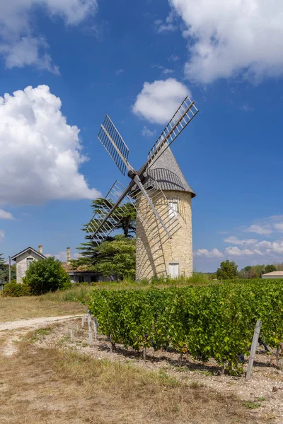 ラマルク州の風車のあるブドウ畑 オート メドック ボルドー アキテーヌ フランス — ストック写真