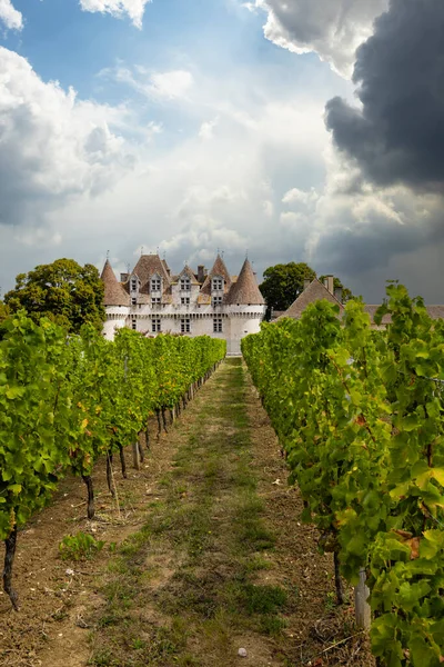 Monbazillac Slott Chateau Monbazillac Med Vingård Dordogne Departement Aquitaine Frankrike — Stockfoto