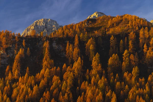 Landschaft Bei Sella Razzo Und Sella Rioda Karnische Alpen Friaul — Stockfoto
