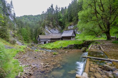 Slovakya 'nın Kvacianska Vadisi yakınlarındaki su değirmenleri