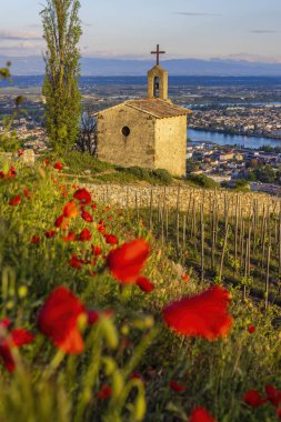 Grand cru vineyard and Chapel of Saint Christopher, Tain l'Hermitage, Rhone-Alpes, France