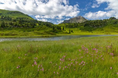 Kalbelesee yakınlarındaki manzara, Hochtann Dağı Geçidi, Warth, Vorarlberg, Avusturya