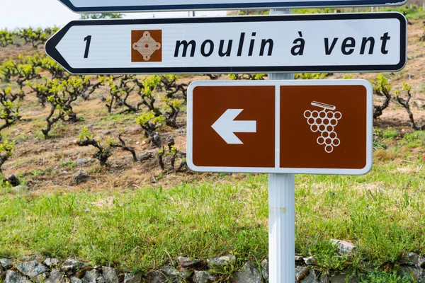 Estrada Vitivinícola Próxima Moinho Vento Moulin Vent Romaneche Thorins Chenas — Fotografia de Stock