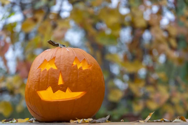 Halloween Tök Őszi Csendélet — Stock Fotó