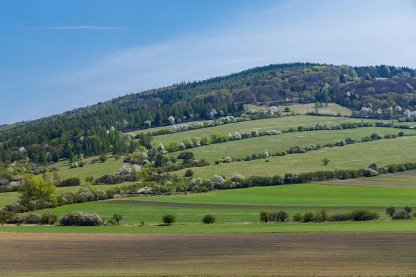 春の風景In White Carpathians Javornik Southern Moravia Czech Republic — ストック写真