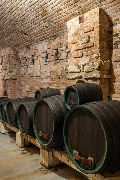 Wine Cellars Barrels Rakvice Southern Moravia Czech Republic — Foto de Stock