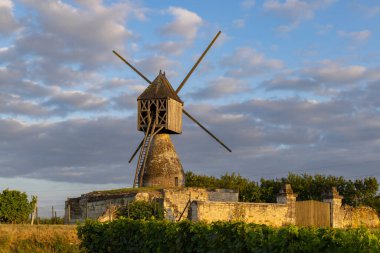 Montsoreau yakınlarındaki La Tranchee ve Vineyard yel değirmeni, Pays de la Loire, Fransa