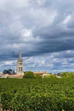 Saint-Emilion kasabası, Aquitaine, Gironde, Fransa 'daki üzüm bağları