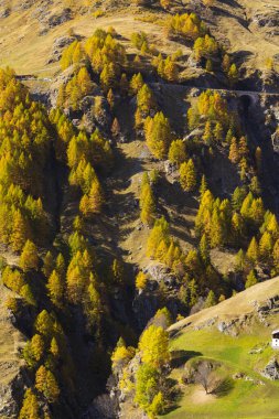 Texelgruppe doğa parkı (Parco Naturale Gruppo di Tessa) Timmelsjoch yakınlarında - yüksek Alp yolu, Güney Tyrol, İtalya