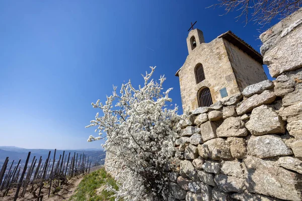 Grand Cru Vineyard Chapel Saint Christopher Tain Hermitage Rhone Alpes — Stockfoto
