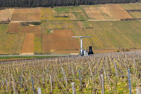 Early Spring Vineyards Aloxe Corton Burgundy France — Fotografia de Stock