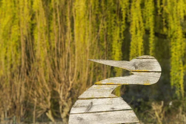 Cegonha Branca Ciconia Ciconia Início Primavera Perto Hunawihr Alsácia França — Fotografia de Stock