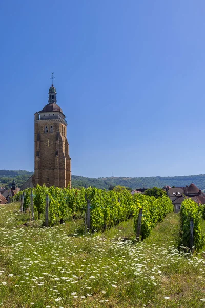 Wijngaarden Met Arbois Kerk Departement Jura Franche Comte Frankrijk — Stockfoto
