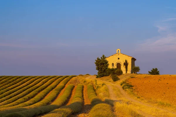 Chapel Plateau Valensole Provence France —  Fotos de Stock